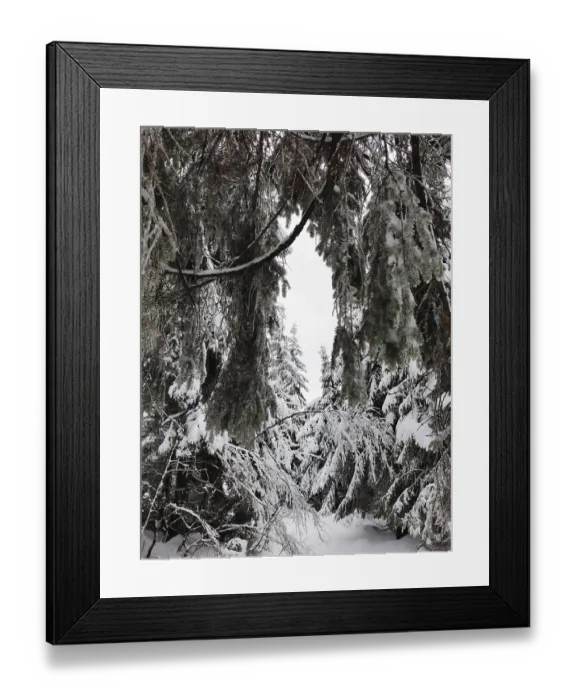 Framed Print : Close-up of snow-covered branches in a thick winter forest