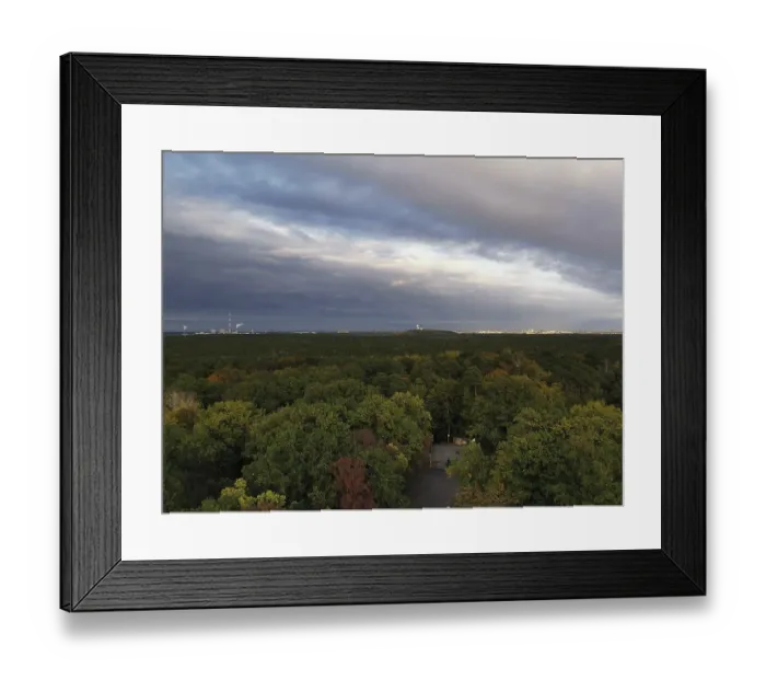 Framed Print : View over a deciduous forest in the park to the horizon in the evening with clouds
