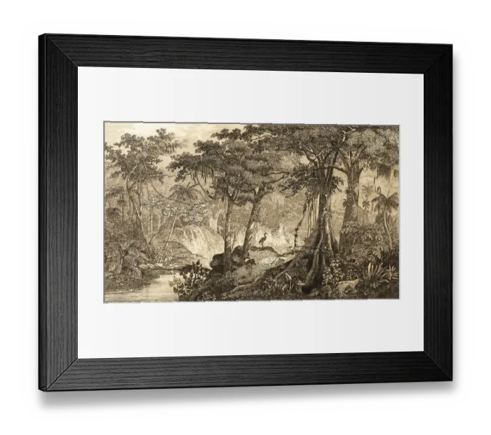 Framed Print : Brazilian rainforest, Brazil, inner tropics