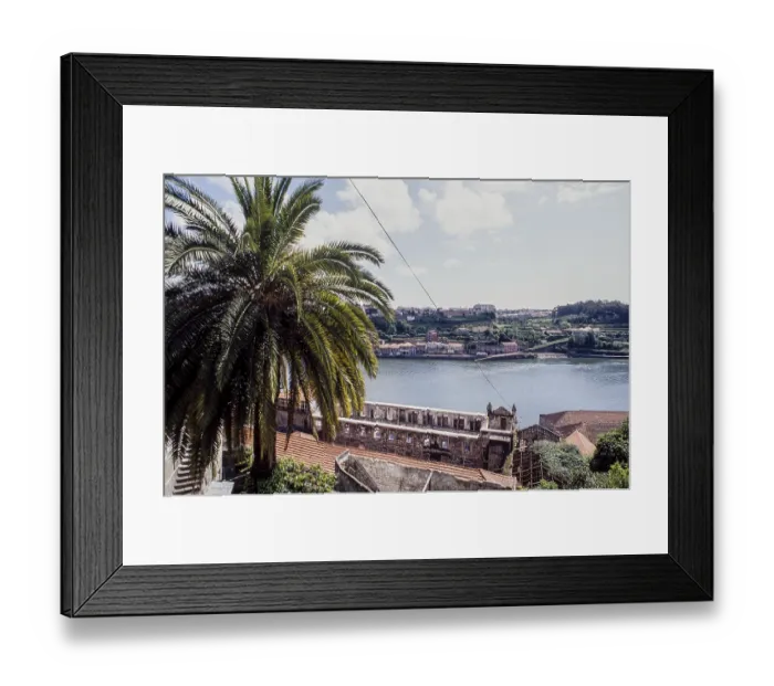 Framed Print : View from Palacio de Cristal over Douro with palm tree in the foreground Framed Print : View from Palacio de Cristal over Douro with palm tree in the foreground