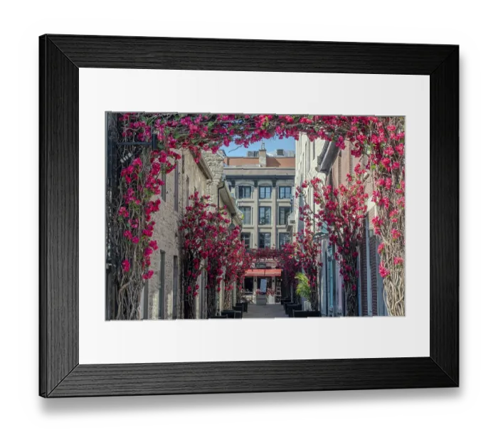 Framed Print : Old Montreal street view with historical buildings Framed Print : Old Montreal street view with historical buildings
