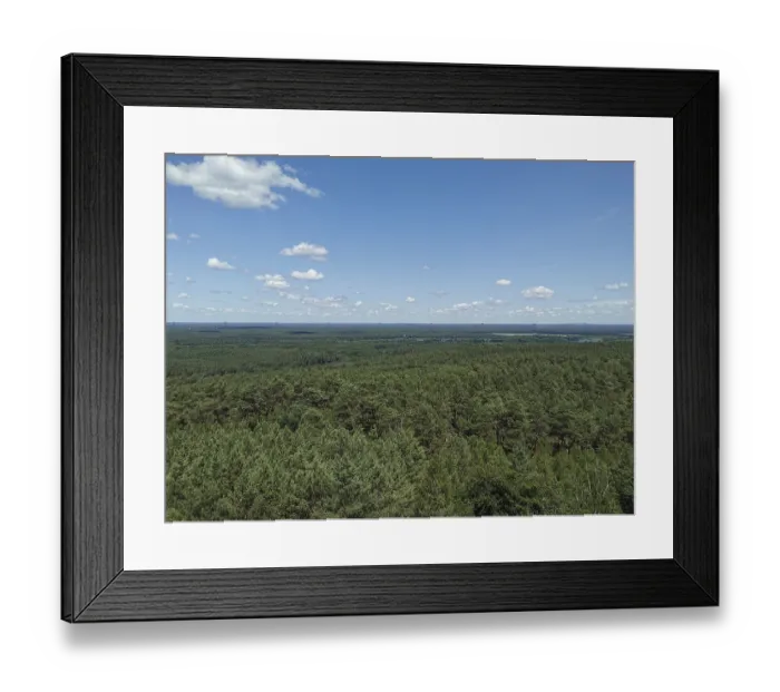 Framed Print : Extensive view of a dense green forest under a blue sky with few clouds
