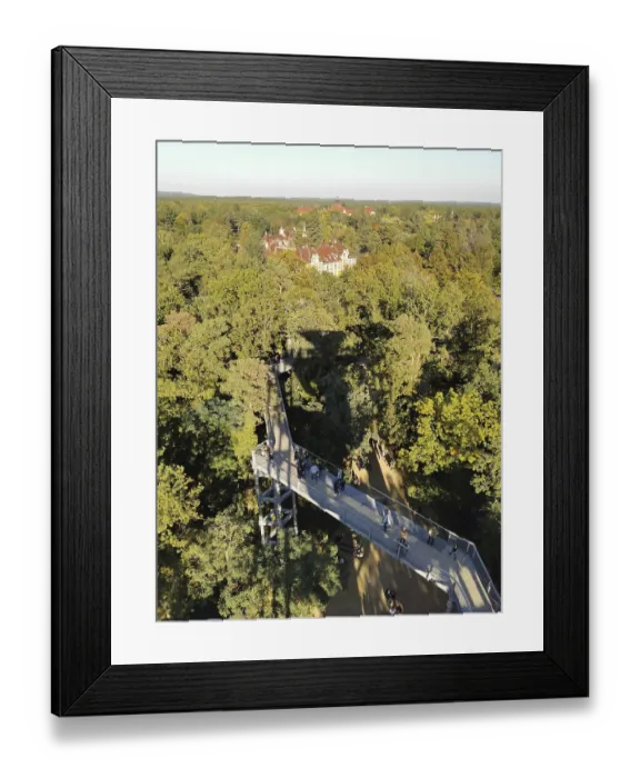Framed Print : Treetop trail snakes across wooded heights under clear skies