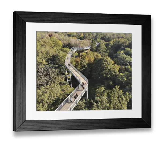 Framed Print : Treetop trail over dense forest with walkers