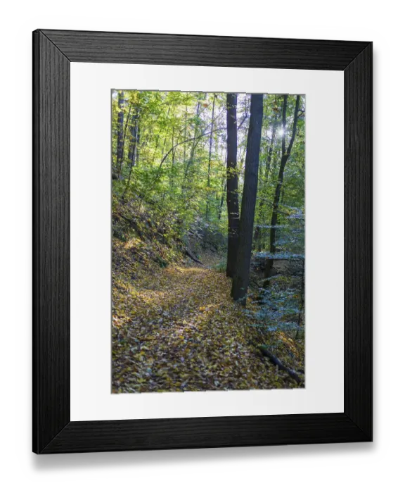 Framed Print : Hiking trail through an autumn forest