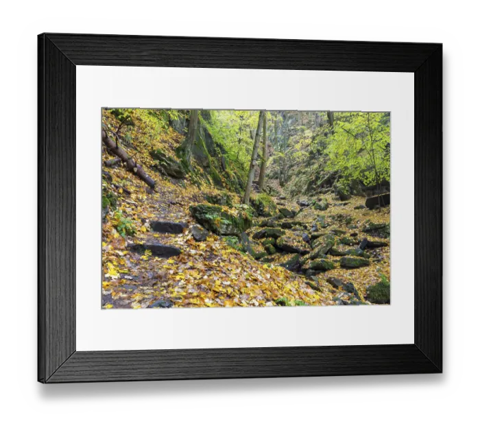 Framed Print : Trail through the wet autumn forest through the Somsdorfer Gorge near Freital