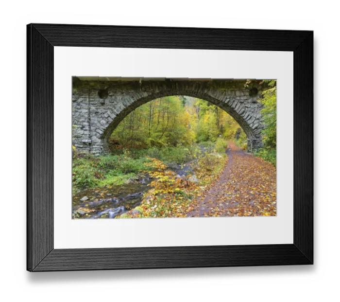 Framed Print : Hiking trail in Rabenauer Grund through the autumn forest