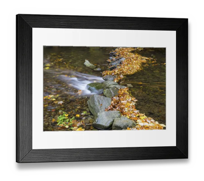 Framed Print : Colourful autumn leaves and stones in Rote Weisseritz in Rabenauer Grund