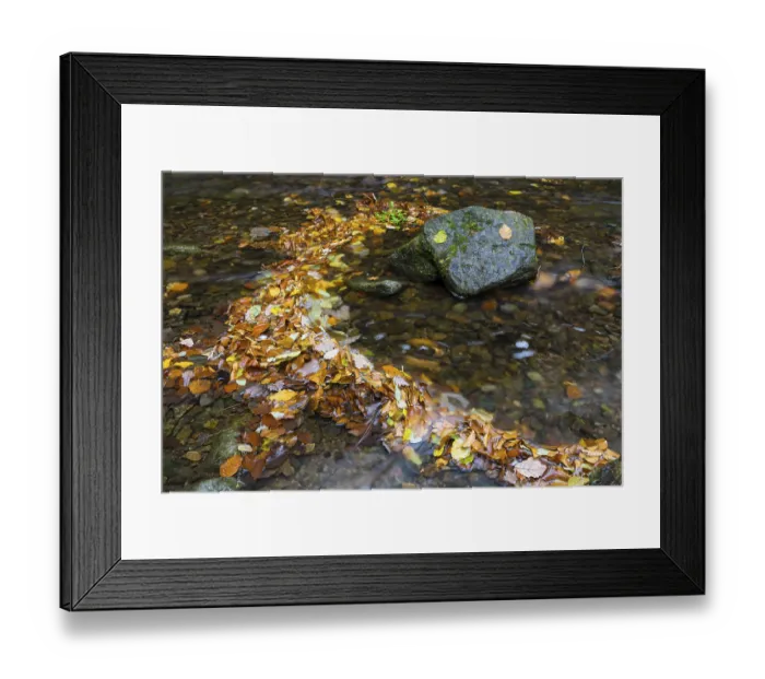 Framed Print : Colourful autumn leaves and stones in Rote Weisseritz in Rabenauer Grund