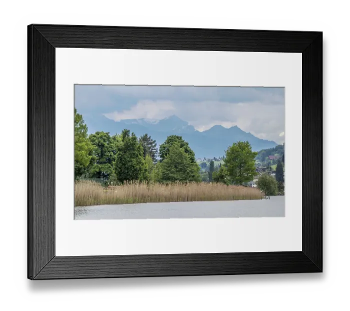 Framed Print : Lake Lucerne near Kussnacht am Rigi Framed Print : Lake Lucerne near Kussnacht am Rigi