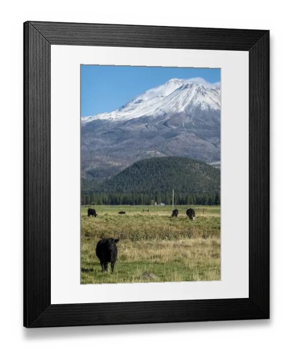 Framed Print : Mount Shasta in northern California with blue sky