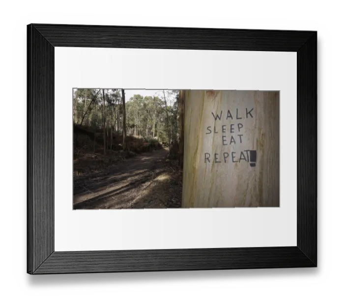 Framed Print : Roadside tree with the inscription Walk Sleep Eat Repeat in the forest Framed Print : Roadside tree with the inscription Walk Sleep Eat Repeat in the forest
