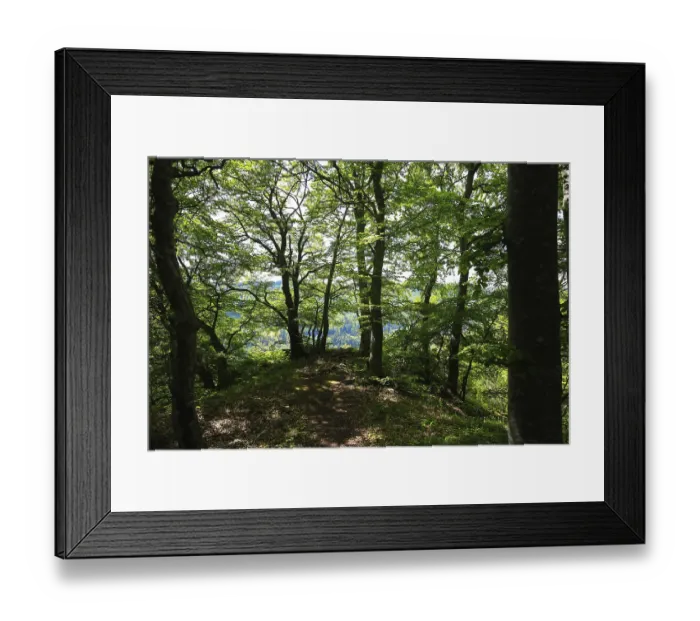 Framed Print : Forest trail through thick trees with a view of a distant landscape