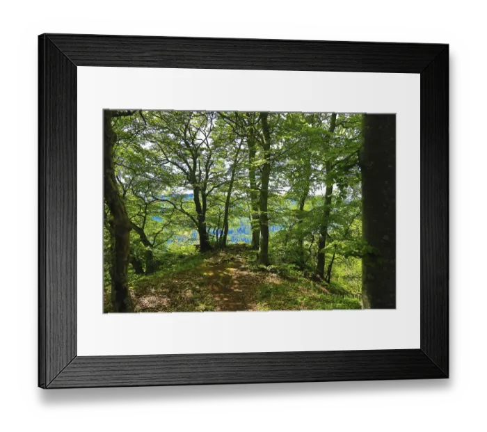 Framed Print : Path in the forest leading to a wide panoramic view