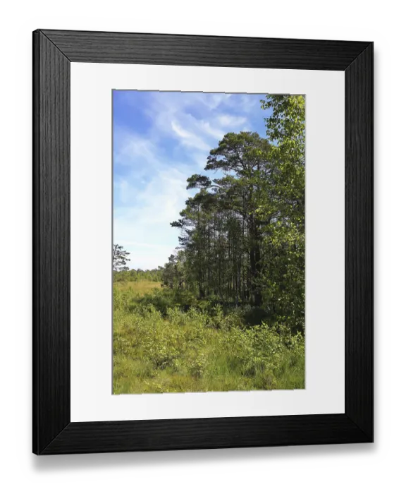 Framed Print : A wooded area next to an open meadow under clear skies