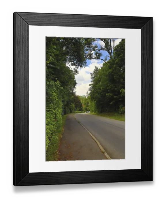 Framed Print : A quiet street lined with green trees under a clear blue sky