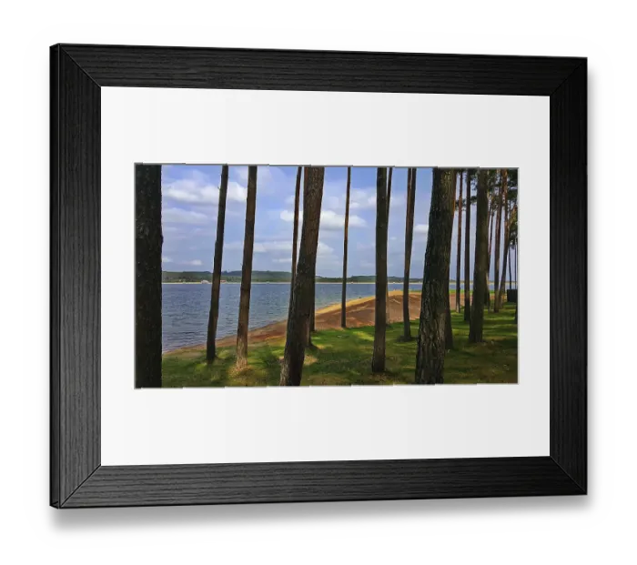 Framed Print : Shore with tall trees and view of quiet lake Framed Print : Shore with tall trees and view of quiet lake
