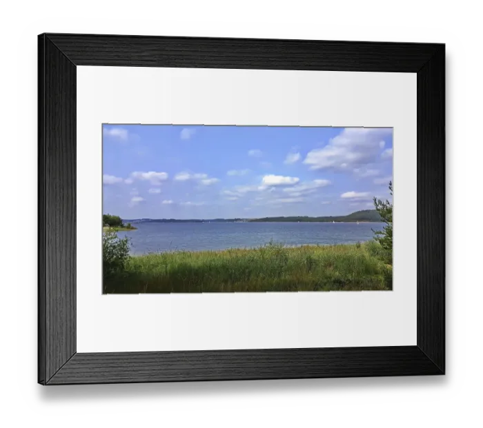 Framed Print : Grassy shore overlooking peaceful lake Framed Print : Grassy shore overlooking peaceful lake