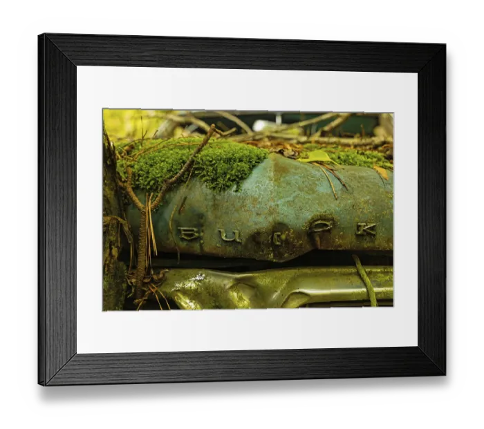 Framed Print : Old abanoded Buick car in a forest Framed Print : Old abanoded Buick car in a forest