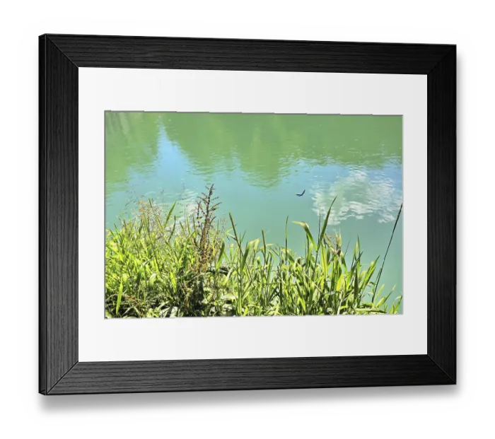 Framed Print : Dragonfly over green grass on the banks of a calm body of water Framed Print : Dragonfly over green grass on the banks of a calm body of water