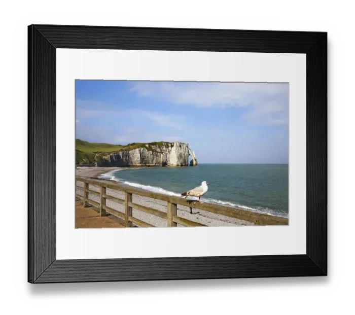 Framed Print : Seagull on railing overlooking cliffs and sea in Normandy Framed Print : Seagull on railing overlooking cliffs and sea in Normandy