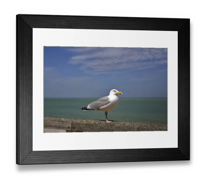 Framed Print : Seagull standing on railing with vast sea in the background