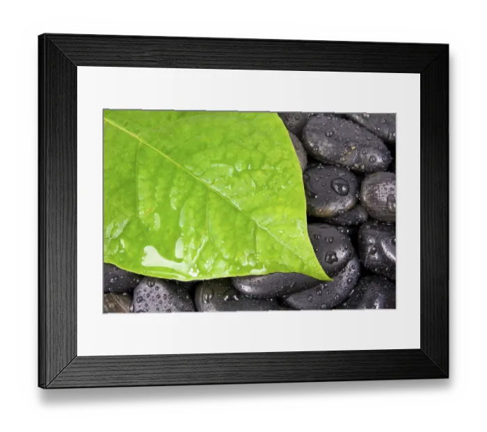 Framed Print : Green leaf and zen stones after rain