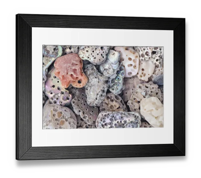 Framed Print : A detailed macro shot of abalone shell fragments in various shapes and sizes Framed Print : A detailed macro shot of abalone shell fragments in various shapes and sizes