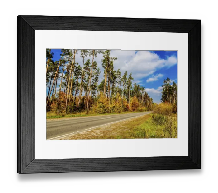 Framed Print : Autumnal landscape with big tree and road in forest