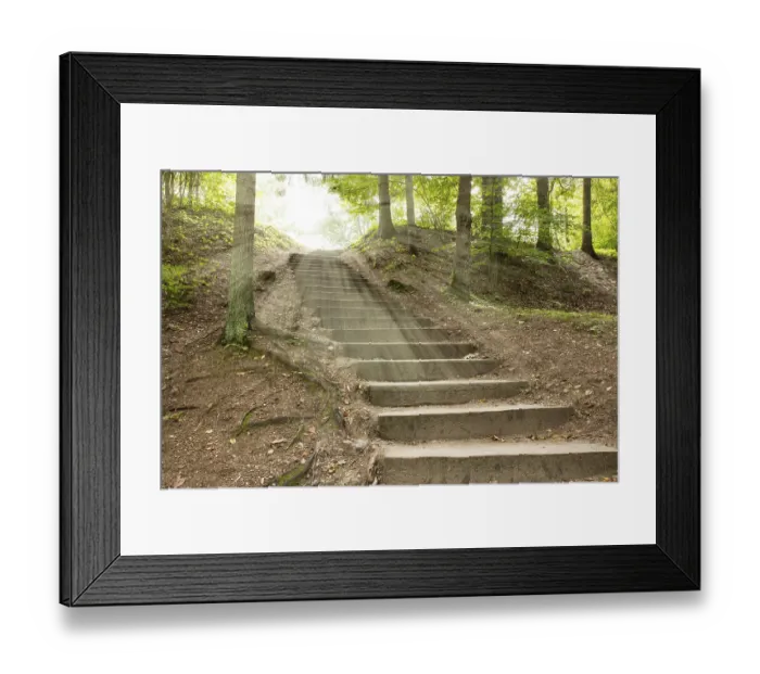 Framed Print : Sunlight in trees of summer forest with a stairway Framed Print : Sunlight in trees of summer forest with a stairway