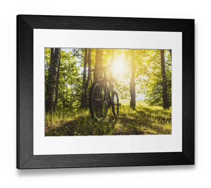 Framed Print : Mountain bike leaned on a tree next to a beautiful green forest with sun shining through the trees