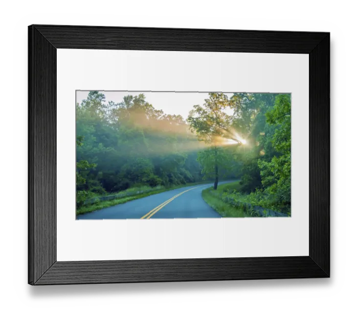 Framed Print : Road through forest with light beams and sun rays through green trees