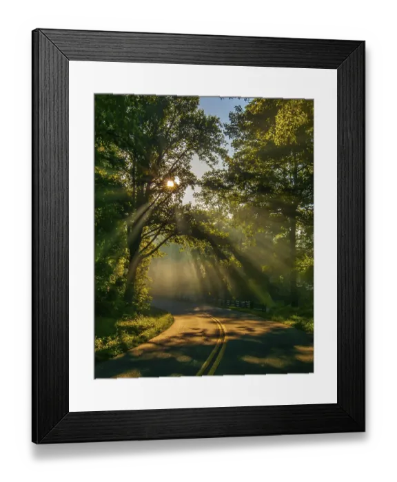 Framed Print : Road through forest with light beams and sun rays through green trees