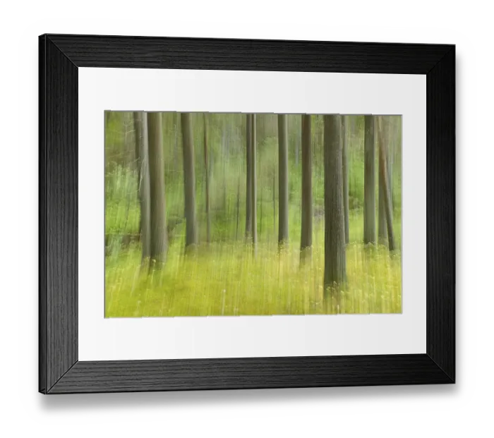 Framed Print : Intentional camera movement (ICM) of tree trunks in forest at Katikankanjoni canyon in summer Framed Print : Intentional camera movement (ICM) of tree trunks in forest at Katikankanjoni canyon in summer
