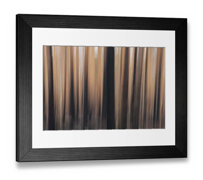 Framed Print : Intentional camera movement (ICM) of tree trunks after forest fire at Hiittenhautakangas in summer Framed Print : Intentional camera movement (ICM) of tree trunks after forest fire at Hiittenhautakangas in summer