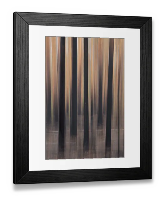 Framed Print : Intentional camera movement (ICM) of tree trunks after forest fire at Hiittenhautakangas in summer Framed Print : Intentional camera movement (ICM) of tree trunks after forest fire at Hiittenhautakangas in summer