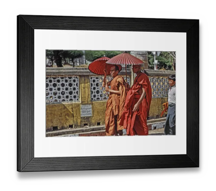 Framed Print : Burmese, Burmese monks with parasols