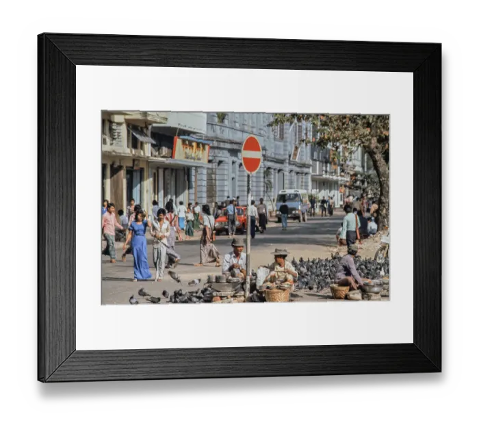 Framed Print : Many pigeon sellers of pigeon food