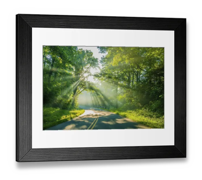 Framed Print : Road through forest with light beams and sun rays through green trees