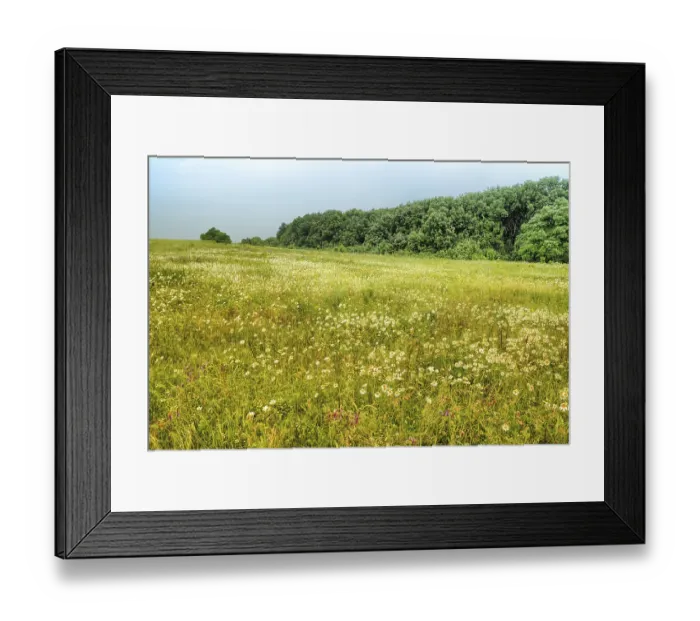 Framed Print : Reserve Strizhament. Flowers in the mountains