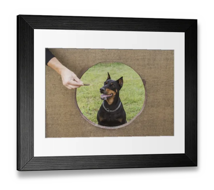 Framed Print : Man training dog and holding food Framed Print : Man training dog and holding food