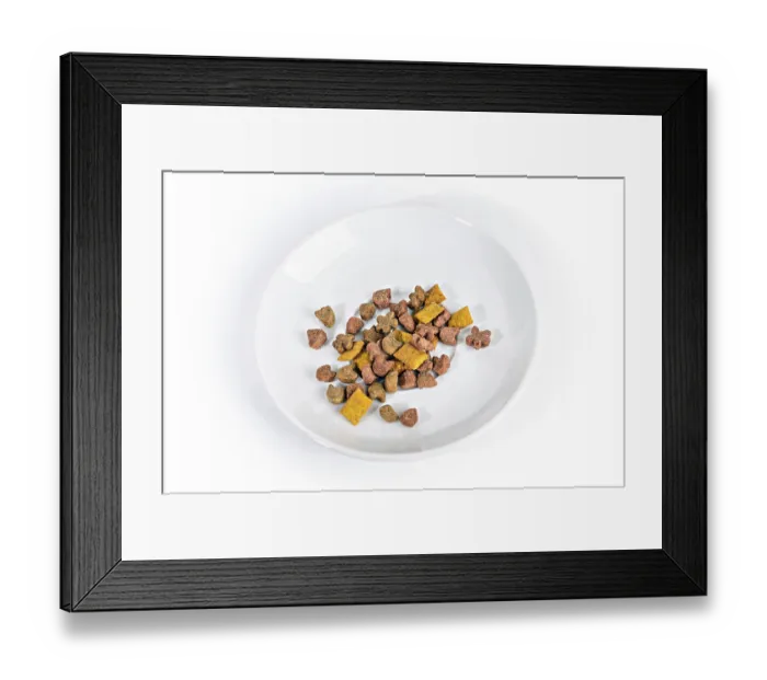 Framed Print : Bowl of pets food on a white background