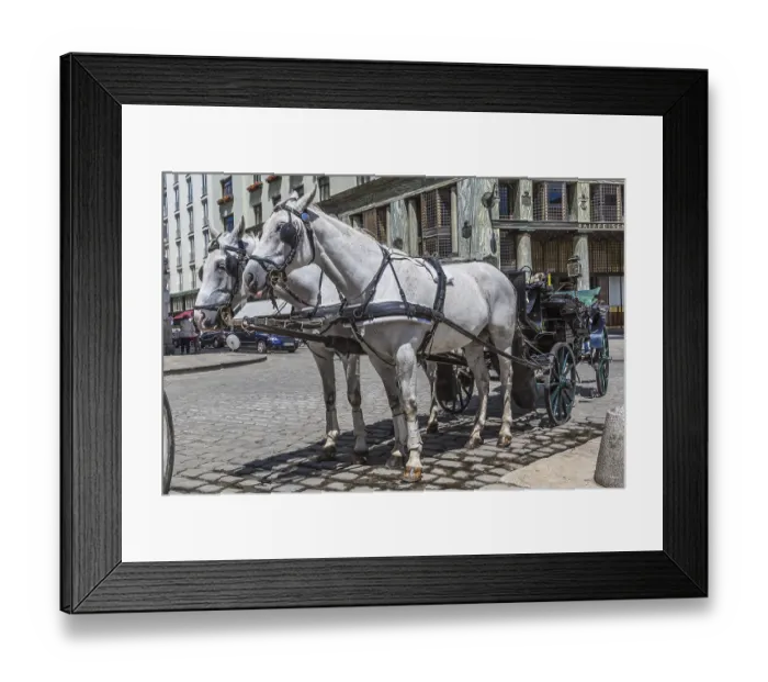 Framed Print : VIENNA, AUSTRIA - JULY 21: people have a ride in the fiaker and pass the Hofburg on July