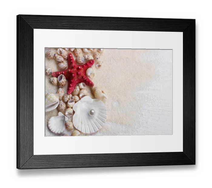 Framed Print : Sea shells on sand summer vacation background Framed Print : Sea shells on sand summer vacation background