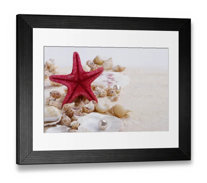 Framed Print : Sea shells on sand summer vacation background Framed Print : Sea shells on sand summer vacation background