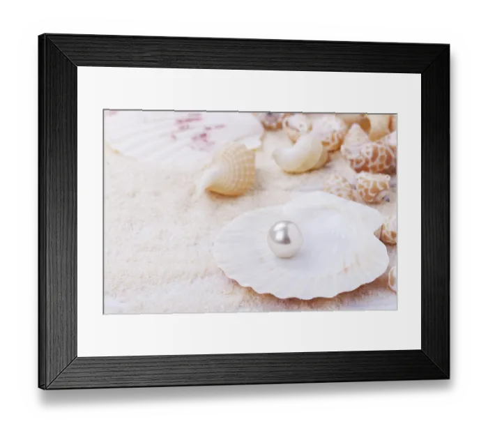 Framed Print : Sea shells and pearl on sand summer vacation background Framed Print : Sea shells and pearl on sand summer vacation background