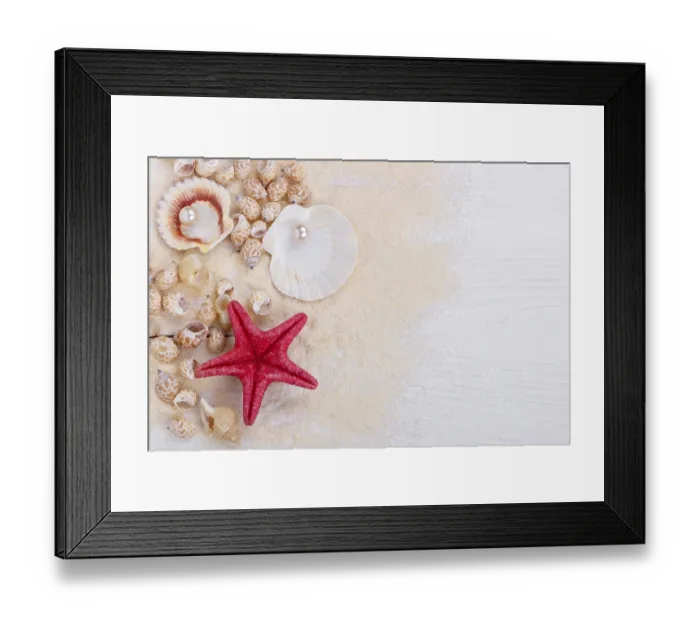 Framed Print : Sea shells on sand summer vacation background Framed Print : Sea shells on sand summer vacation background