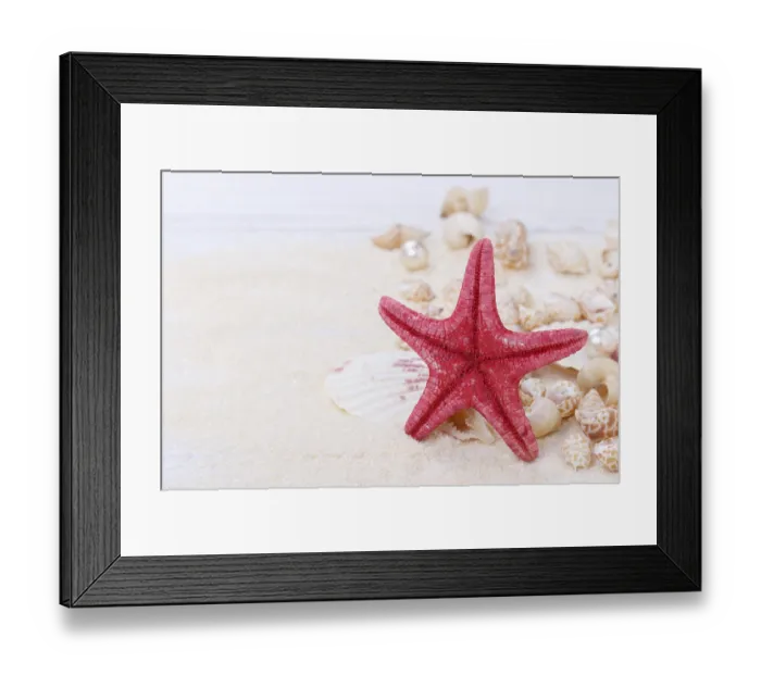 Framed Print : Starfish and sea shells on sand summer vacation background