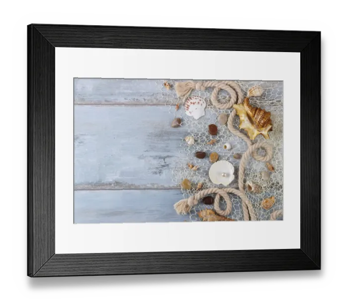 Framed Print : Sea shells in a fishnet, on wooden board