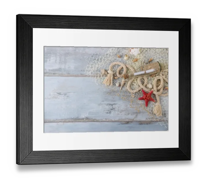 Framed Print : Sea shells in a fishnet, on wooden board Framed Print : Sea shells in a fishnet, on wooden board